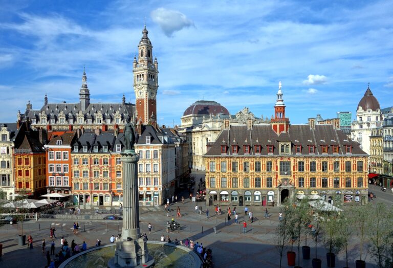Transaldis : Votre Transporteur pour l’envoi de vos palettes à Lille